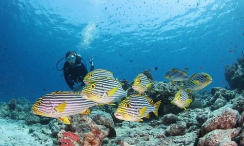 Conrad Maldives Rangali Island